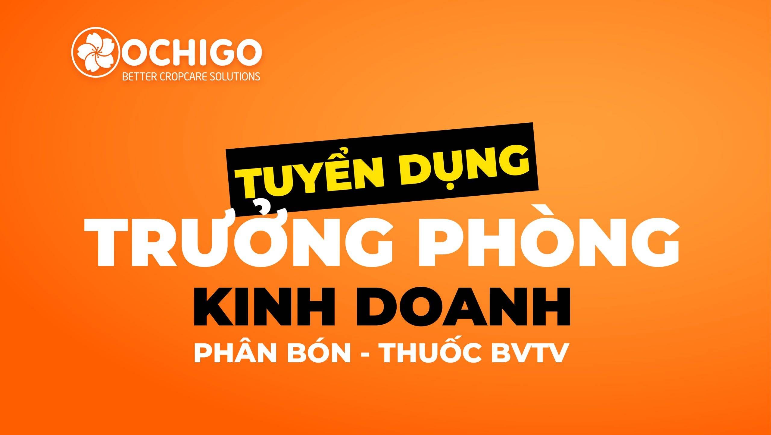 TUYỂN DỤNG-trưởng phòng kinh doanh