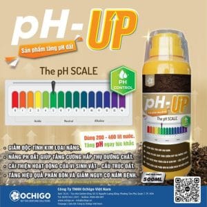 Phân bón hữu cơ ENVA11 - ENVAMIN 1000PLUS hiệu pH - UP