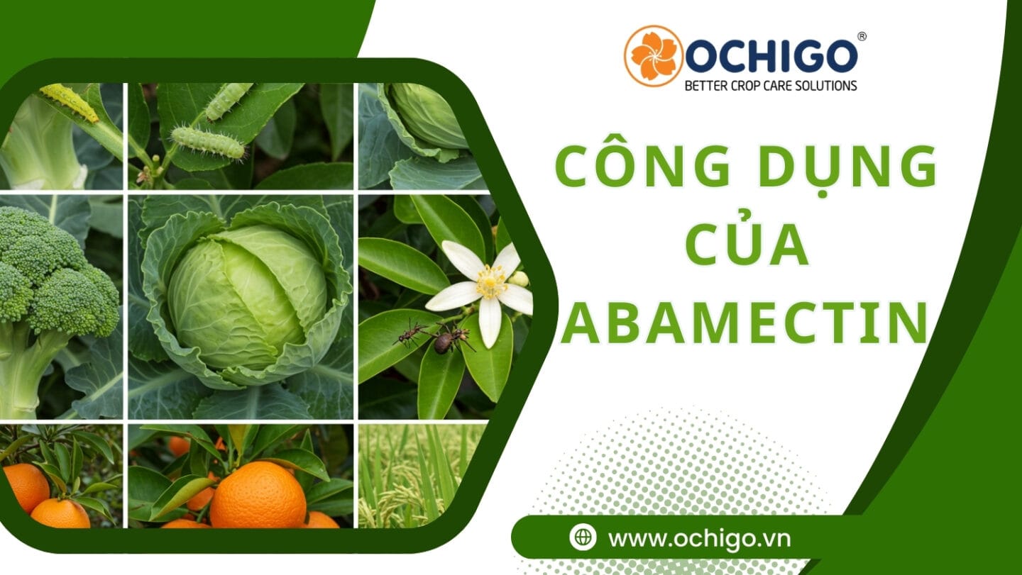 Công dụng của Abamectin